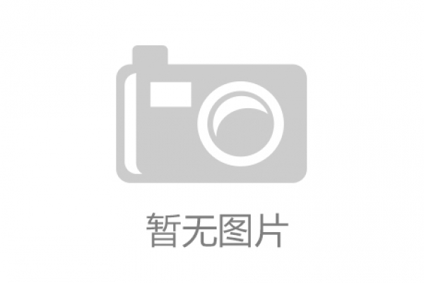 博石教育2025上半年管理团队工作总